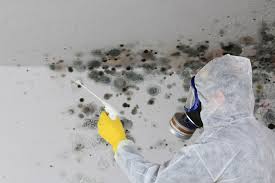 Best Commercial Mold Inspection  in Strongsville, OH